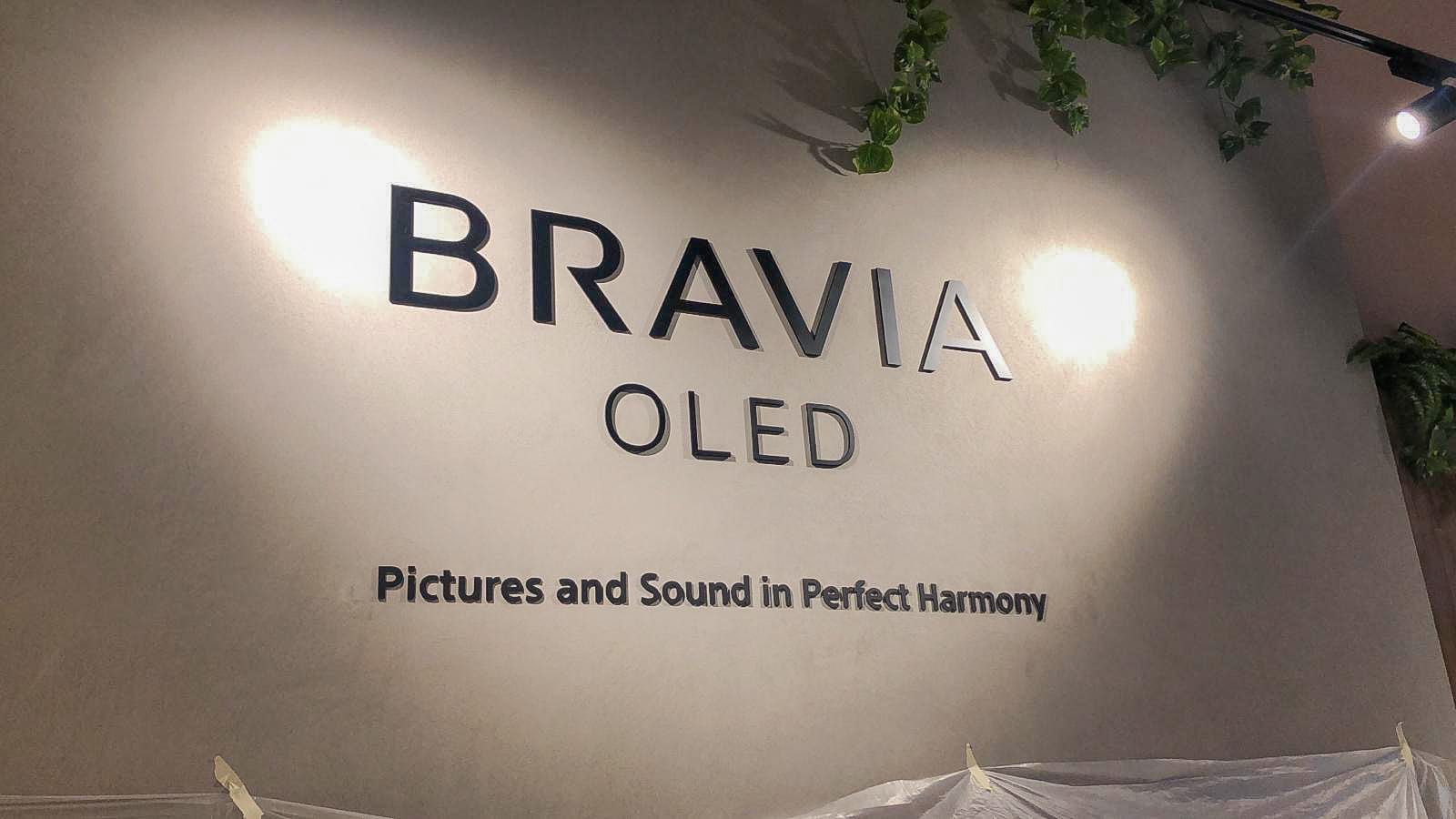 Sony Bravia OLED acrylic wall lettering — Acrylic Signage by Garrison Productions, Singapore