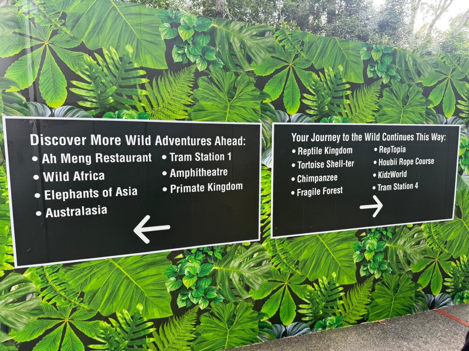 Mandai Wildlife Reserve "Discover more wild adventures" sign hoarding — Hoarding Sticker Printing by Garrison Productions, Singapore