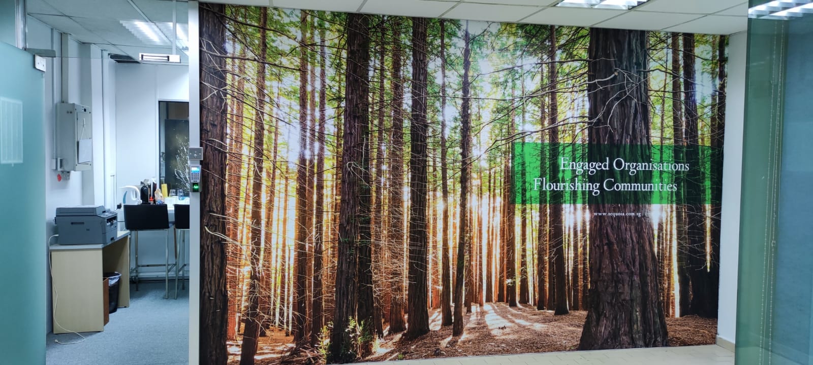 Pine forest wall mural behind glass — Wall Mural by Garrison Productions, Singapore